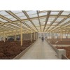 遼寧鋼結構制作企業(yè)/福鑫騰達彩鋼/施工鋼結構玻璃頂